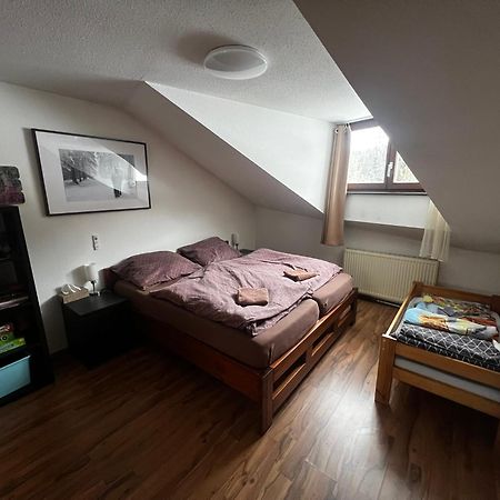 Family Apartment Sumava Bayerisch Eisenstein Exterior photo